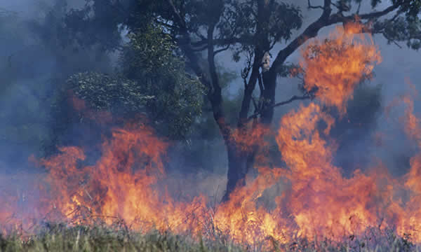 Fire Hazard Reduction Services South West Australia
